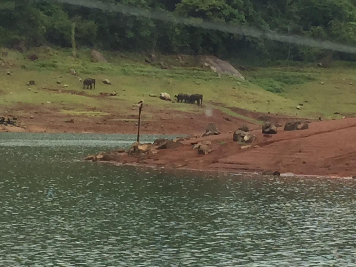 Kandamath Heritage Resort Kolattupuzha Buitenkant foto